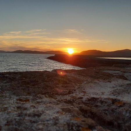 B&B Rambla De Alguer 外观 照片