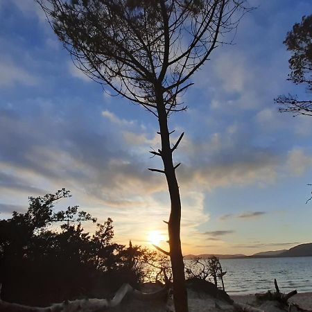 B&B Rambla De Alguer 外观 照片
